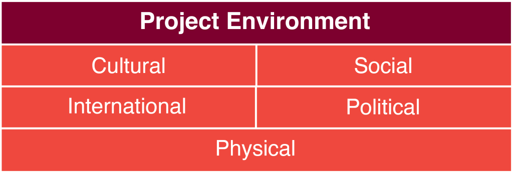 Project environment factors