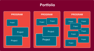 Relationship between a portfolio, programs, and projects