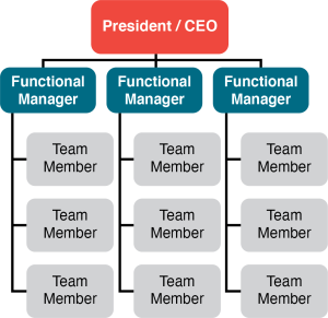 Functional Organization Structure