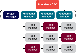 A “Project Manager” in a functional organization