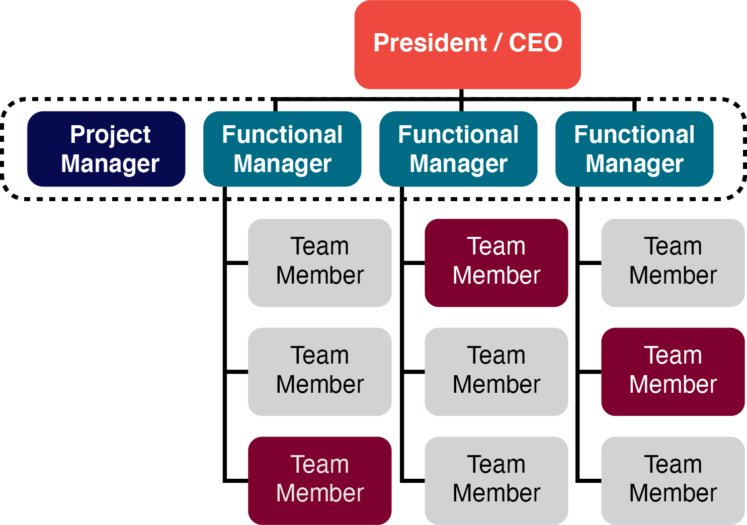 Functional Manager Vs Direct Manager