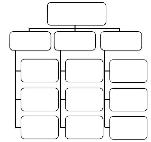 Blank chart showing the structure of a functional organization.
