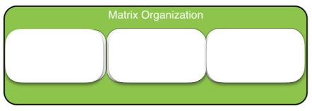 Diagram of the three types of matrix organizations. The names of the organization types are blank.