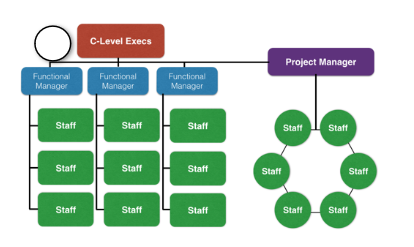 C-Level Execs supervise three Functional Managers and one Project Manager. Each Functional Manager and Project Manager has a team of staff. The staff work within their own teams, but not with different staff teams.