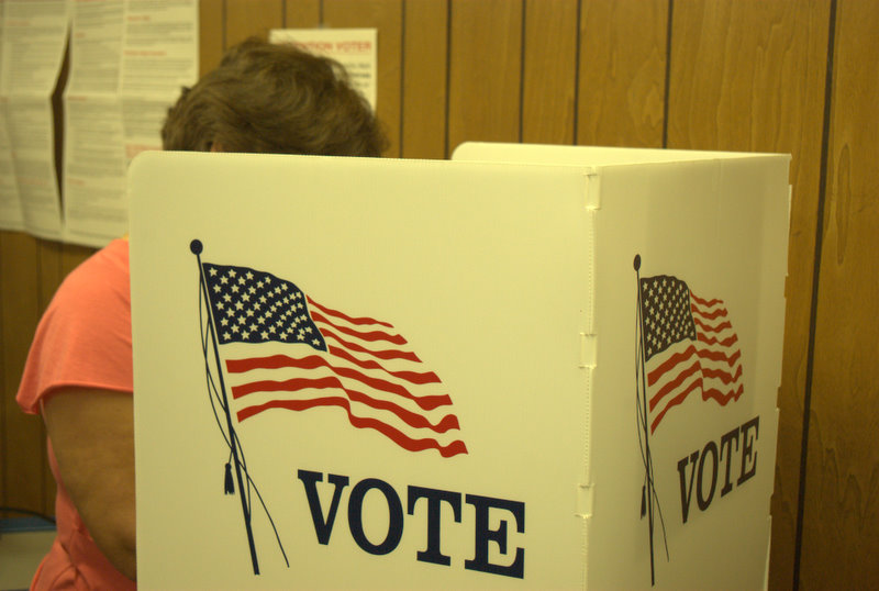 voter behind a privacy screen