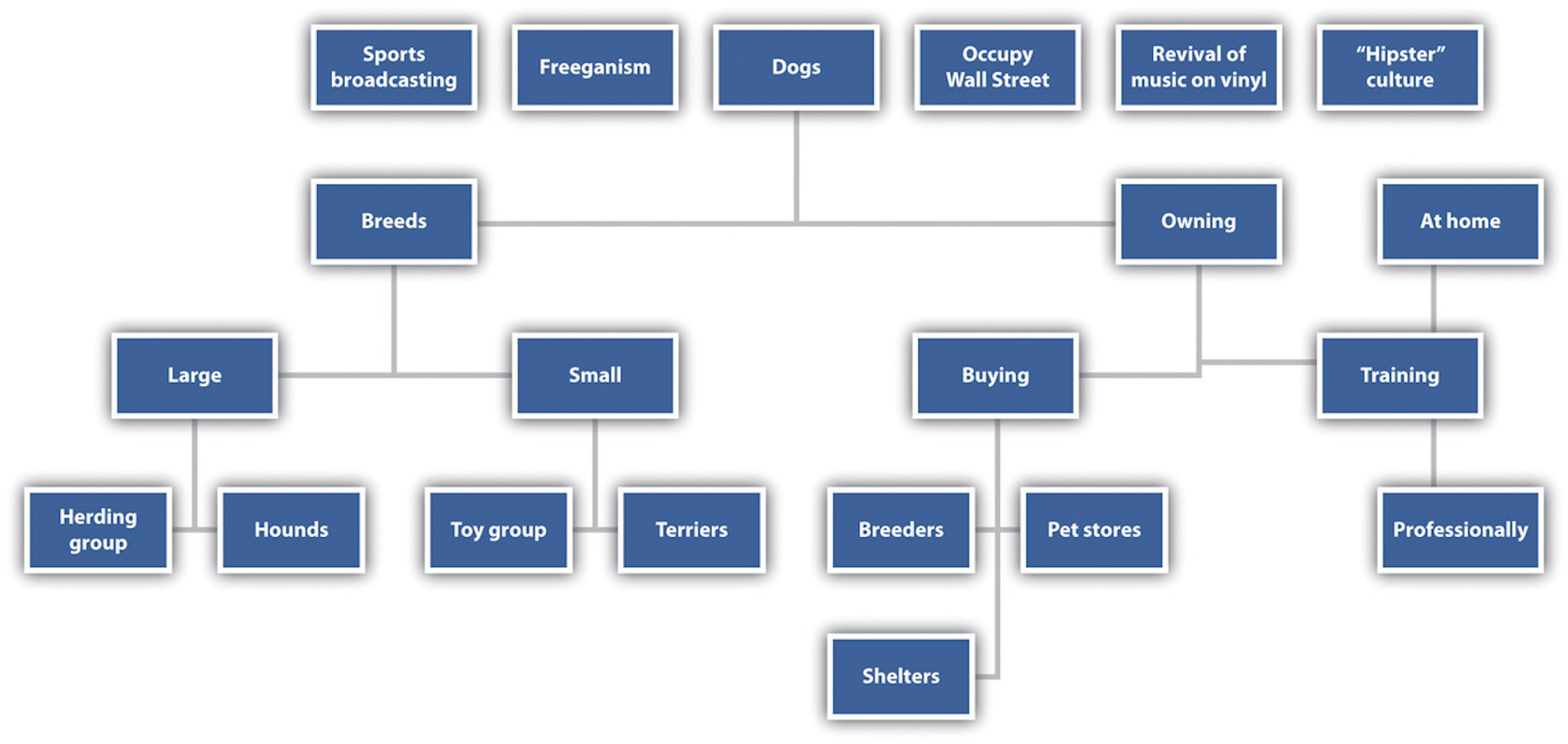 Brainstorming and Narrowing a Topic