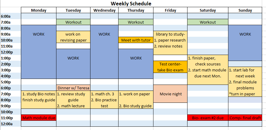 weekly calendar showing time blocks for work, personal commitments, and when student set aside to study and review school work