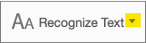 Shows "recognize text" and dropdown button on the toolbar at the top of the window.