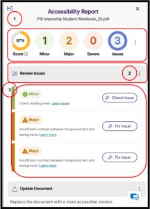 Panorama Accessibility Report