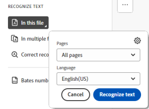 Select the Recognize text in the new dialog box