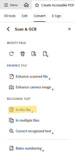 Shows "In this File" under "Scan and OCR" tools.