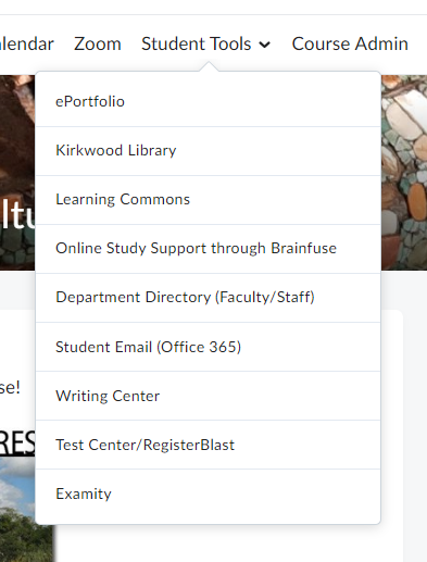 The Student Tools dropdown menu.